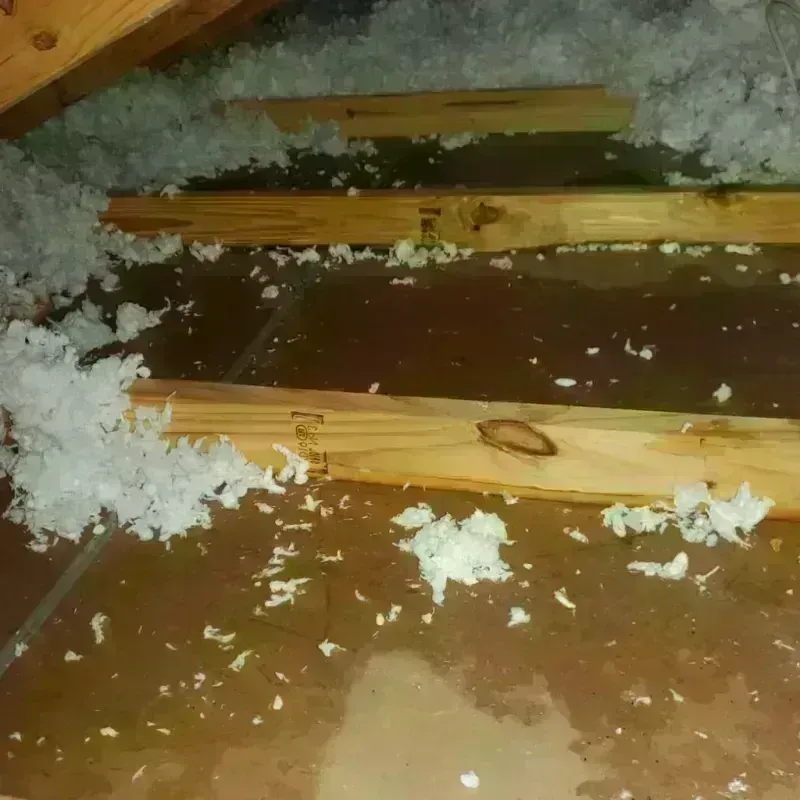 Attic Water Damage in Allen County, KS