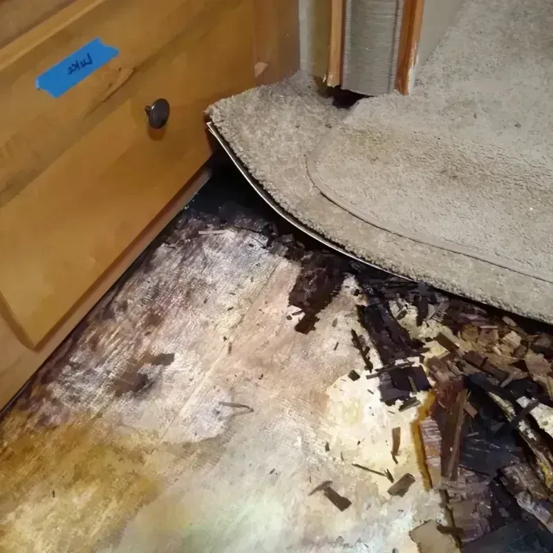 Best Wood Floor Water Damage Service in Allen County, KS